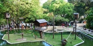 Proclamação da República: Saiba o que fica aberto foto do parque arruda câmara no feriado da proclamação da república