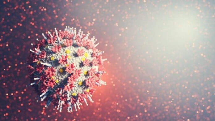KRAKEN-Covid-Virus