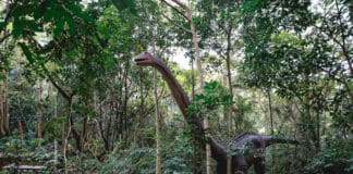Parque temático ‘Terra dos Dinos’ será construído em João Pessoa, anuncia João Azevêdo