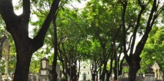João Pessoa prorroga recadastramento de túmulos e jazigos em cemitérios municipais