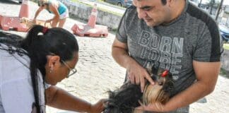 Dia D de vacinação antirrábica mobiliza João Pessoa com 140 postos abertos neste sábado