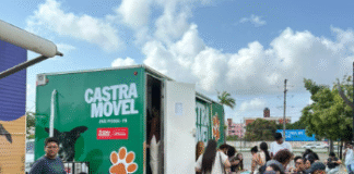 Prefeitura de João Pessoa dobra vagas para castração gratuita de gatos em Mangabeira após alta demanda
