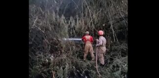 Incêndio em Nossa Senhora do Livramento destrói bambuzal e ameaça rede elétrica na PB-25