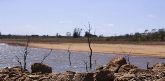 Situação de emergência Paraíba: 13 cidades entram em alerta máximo por estiagem severa