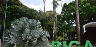 Vereadores correm à Bica após tragédia e iniciam inspeção urgente sobre a leoa da Bica
