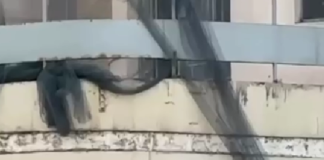 Incêndio atinge prédio antigo da prefeitura de Campina Grande e Defesa Civil avalia danos