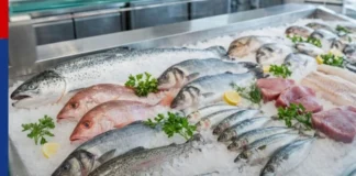 Preço do peixe varia até 120% em mercados de João Pessoa